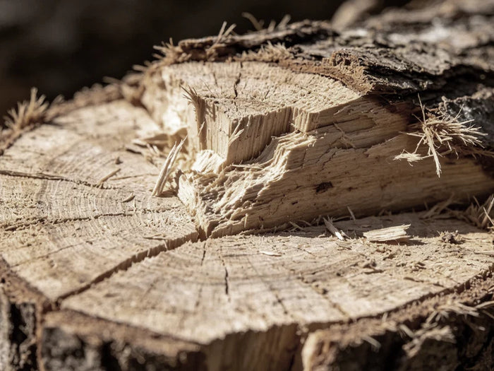 Messy Branch Cuts